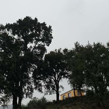 Refugio Do Sobreiro Villa Cabeceiras de Basto Eksteriør bilde