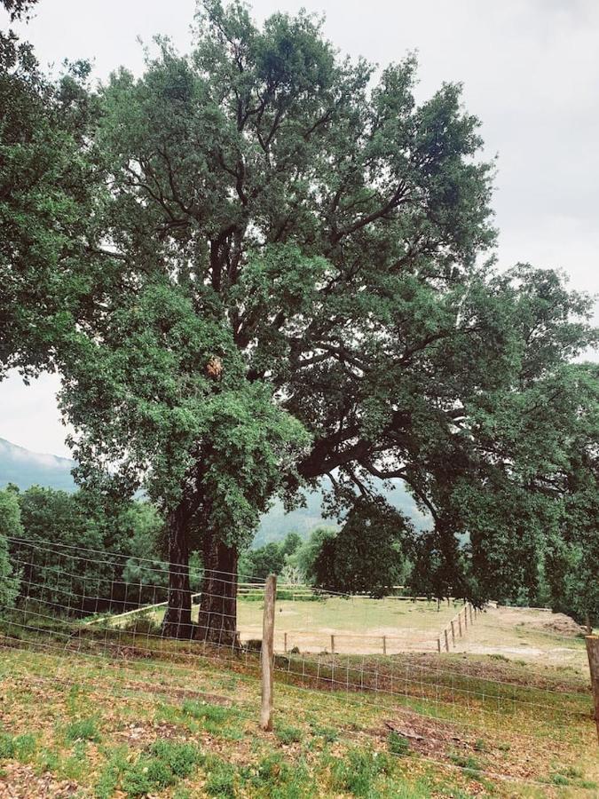 Refugio Do Sobreiro Villa Cabeceiras de Basto Eksteriør bilde